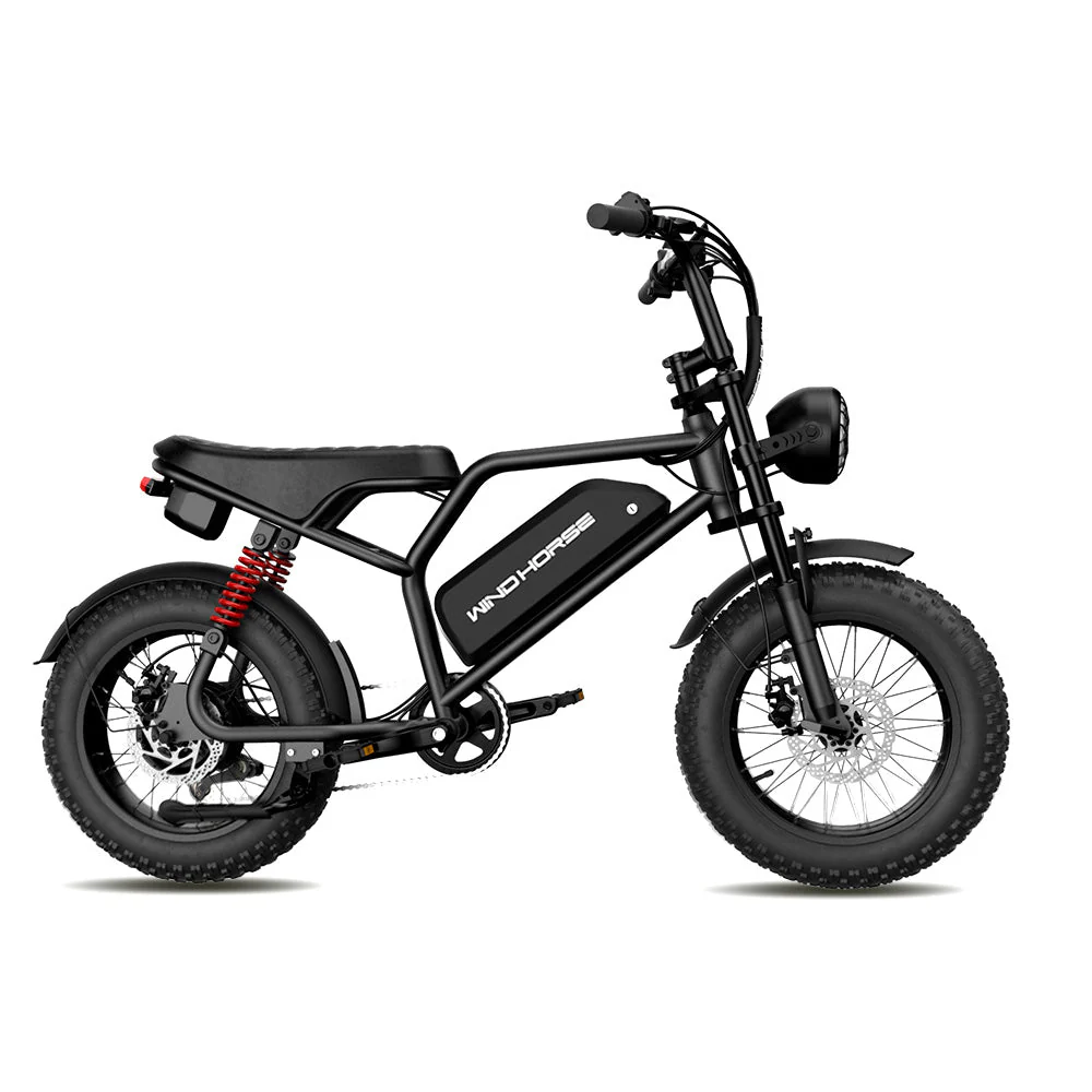 Windhorse V8MINI - Image 17